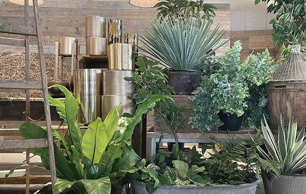 【ラストまで勤務できる方特に大歓迎！】garage SHIBUYA グリーン・インテリア販売スタッフ募集