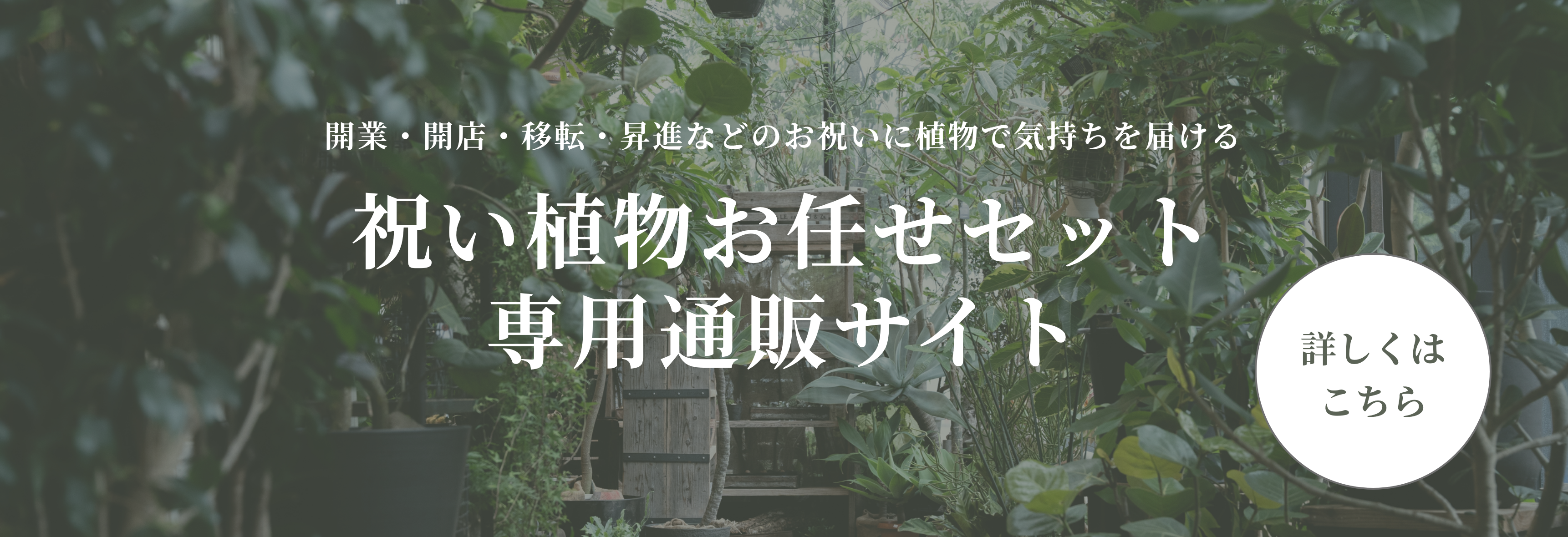 GARAGE GARDEN 公式サイト