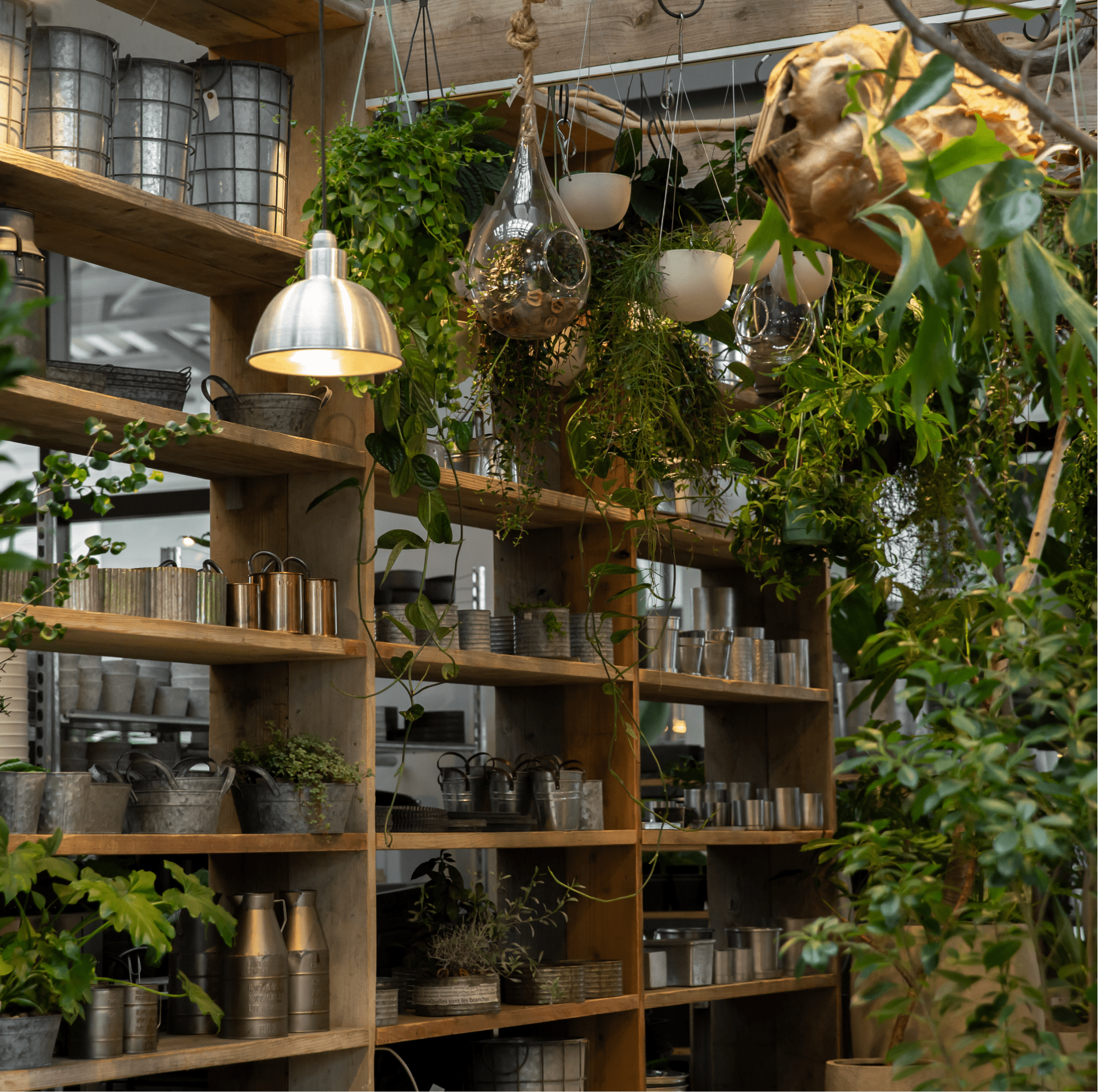 garage YOKOHAMA | garage living with plants