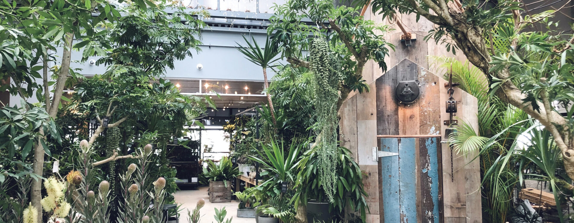 garage YOKOHAMA | garage living with plants